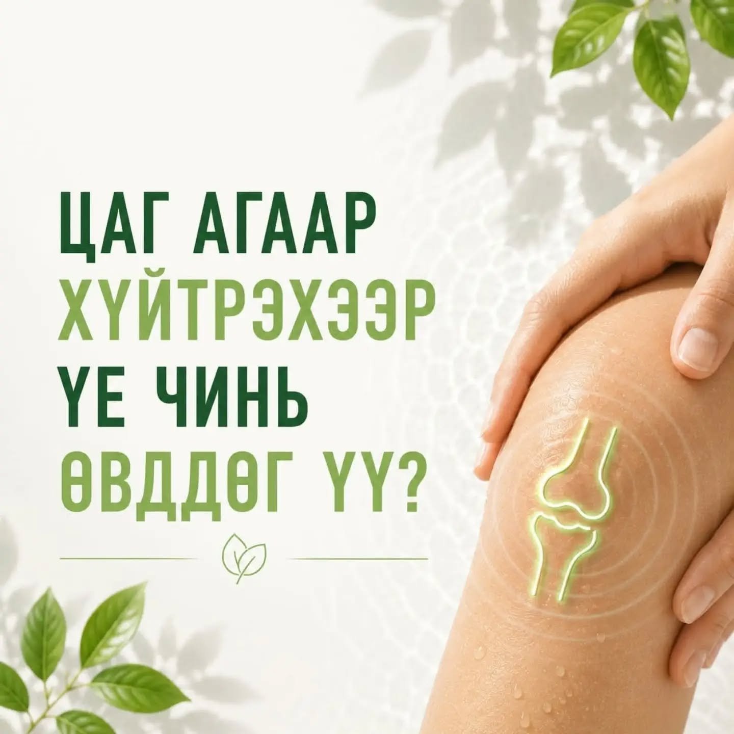 Vitabaum Collagen 3
