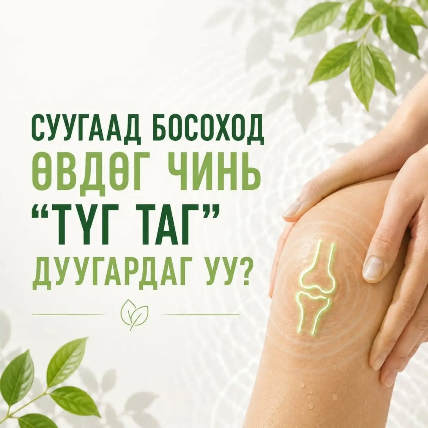 Vitabaum Collagen 2
