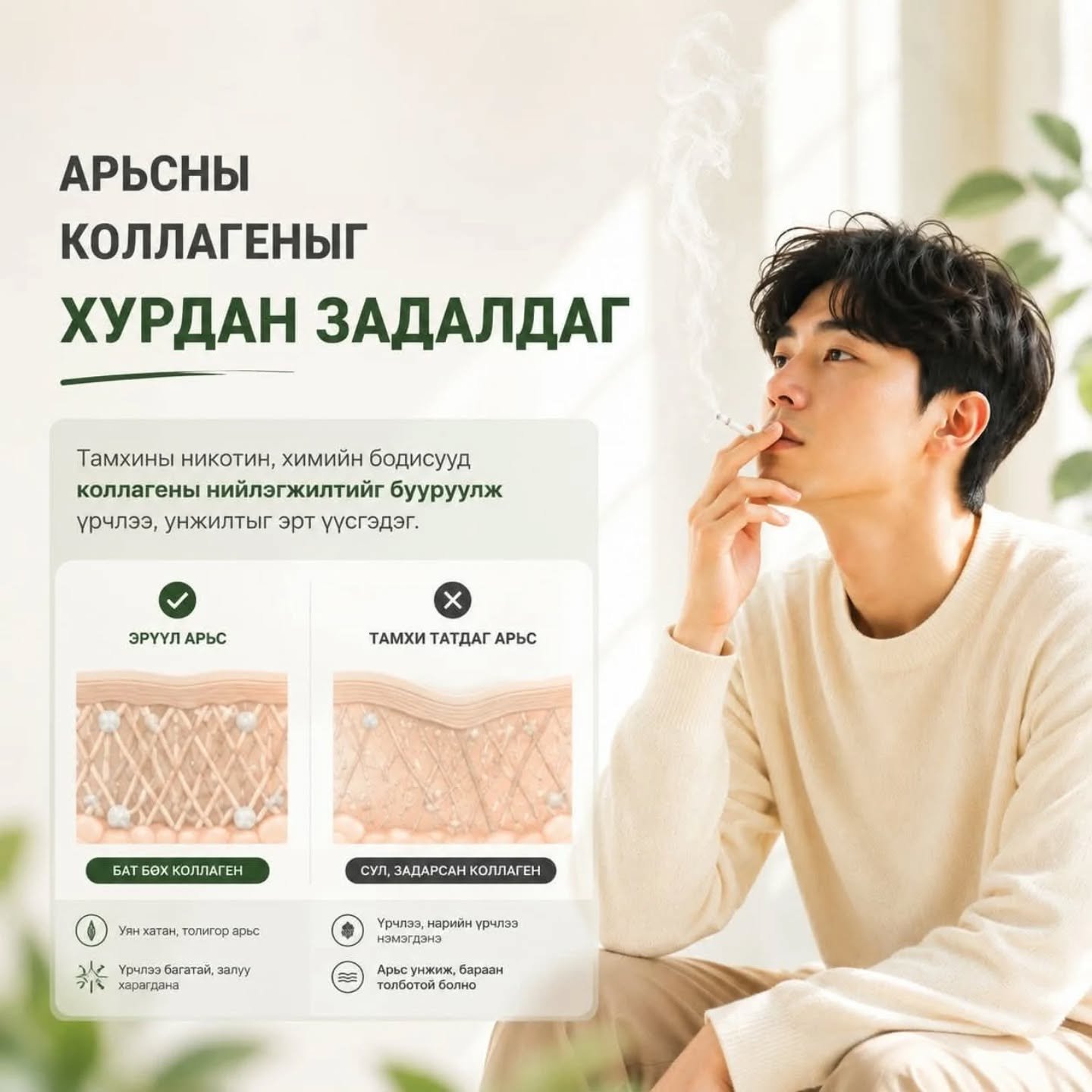 Vitabaum Beauty Collagen